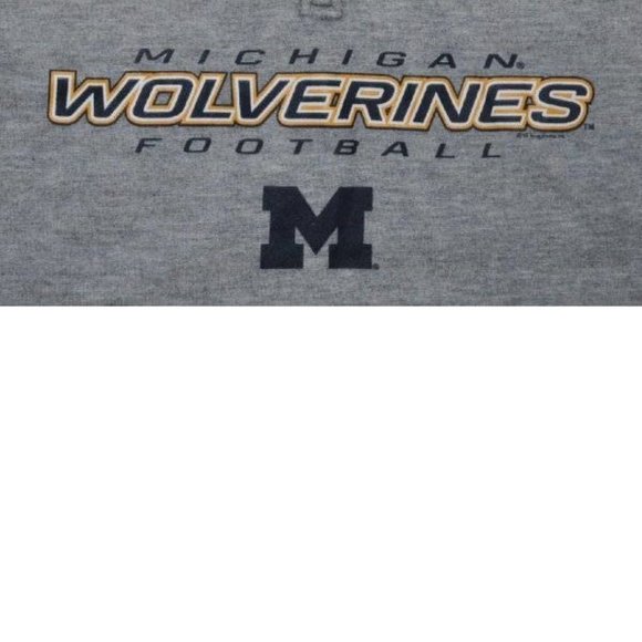 Mens Michigan Wolverines Gray Small NCAA 1/4 Zip Pullover Long Sleeve Sweatshirt - Picture 4 of 6